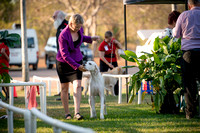 Canine Expo 2015