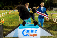 Canine Expo-DABKC shows July 2016